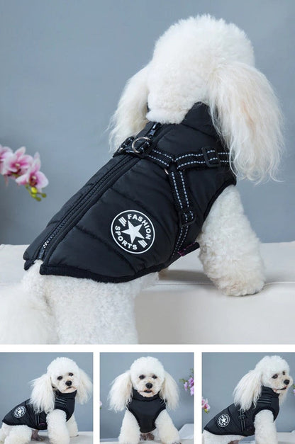 🐶❄️Waterproof Winter Jacket with Built-In Harness – Keep Your Dog Warm, Dry & Stylish!
