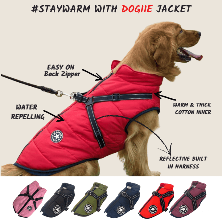 🐶❄️Waterproof Winter Jacket with Built-In Harness – Keep Your Dog Warm, Dry & Stylish!
