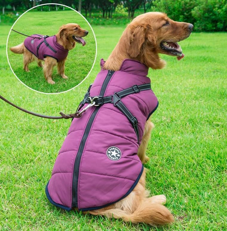 🐶❄️Waterproof Winter Jacket with Built-In Harness – Keep Your Dog Warm, Dry & Stylish!
