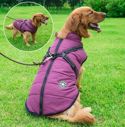 🐶❄️Waterproof Winter Jacket with Built-In Harness – Keep Your Dog Warm, Dry & Stylish!